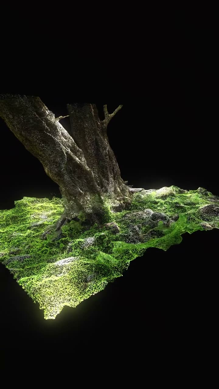 someone scanned a forest and i can't stop looking